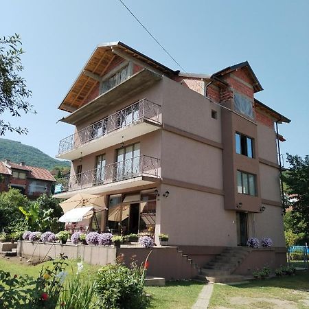Guest House Dimitrije Niska Banja Ngoại thất bức ảnh