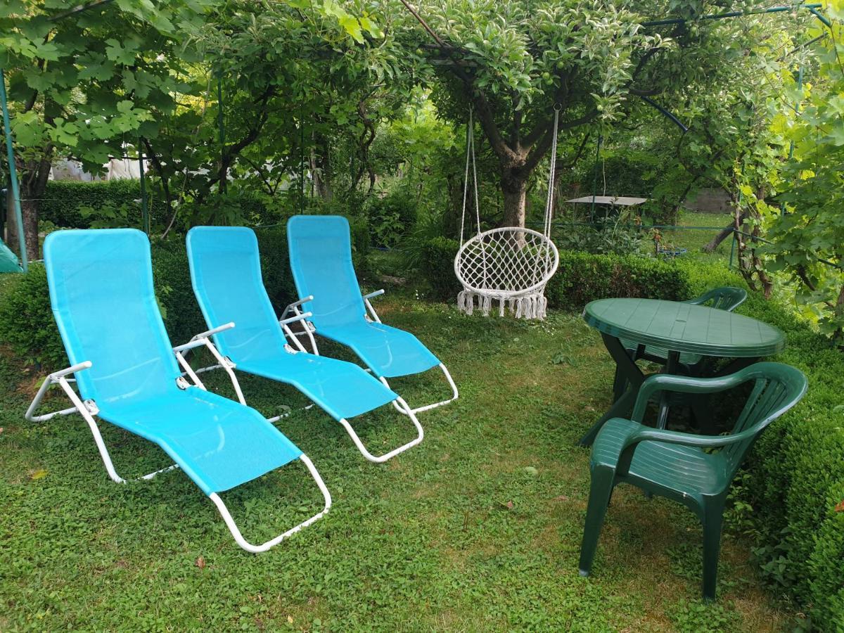 Guest House Dimitrije Niska Banja Ngoại thất bức ảnh