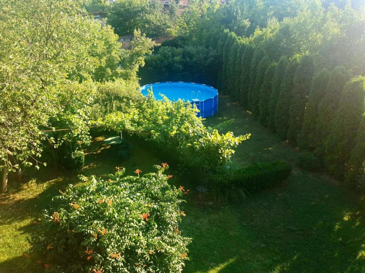 Guest House Dimitrije Niska Banja Ngoại thất bức ảnh