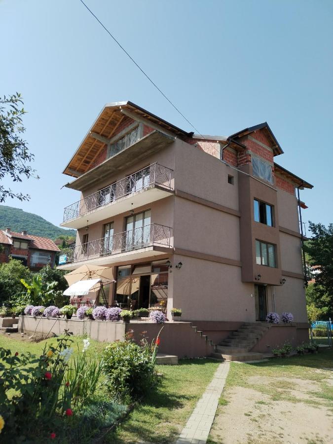 Guest House Dimitrije Niska Banja Ngoại thất bức ảnh